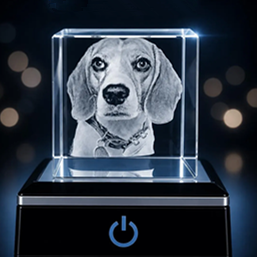 Custom Photo Inside Crystal Cube - Premium 3D Laser Etched Keepsake (Square B)